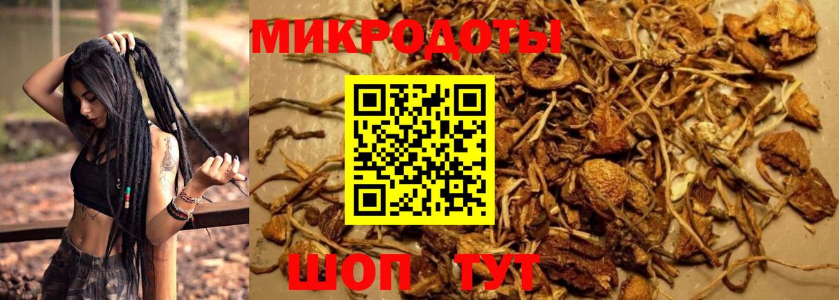 Галлюциногенные грибы ЛСД Брянск